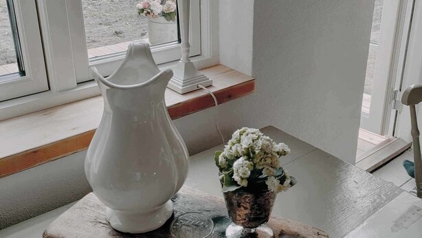 A room with a window, a white pitcher, a small glass, and a potted plant on a wooden tray. - Cozy house in small village near the sea (Skåne län)