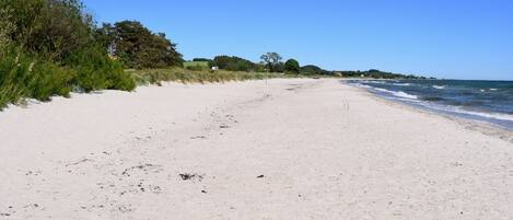 Playa en los alrededores