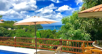 Fabulous poolside apartment Marigot Bay.