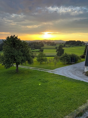 Un paysage rural avec un chemin de gravier menant à une maison, entourée de champs verdoyants et d’arbres.