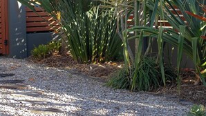 Un jardin avec différentes espèces de plantes et un chemin de gravier.