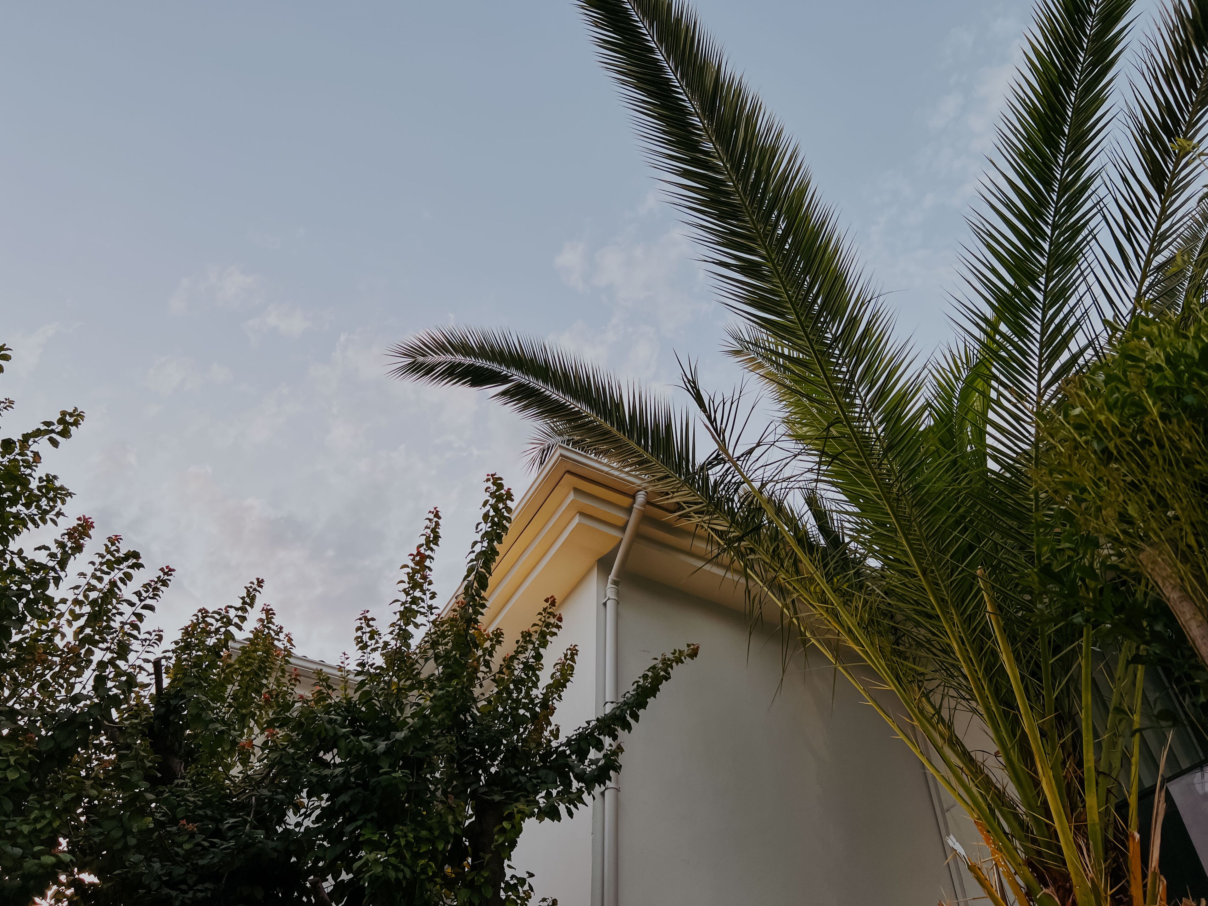 Photo - Marla Suite Hotel