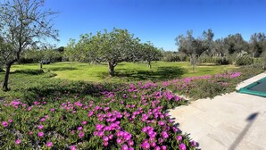 Um jardim bem cuidado, com diversas árvores e gramado.