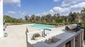 Área da piscina com churrasqueira, pia e um vaso de planta.