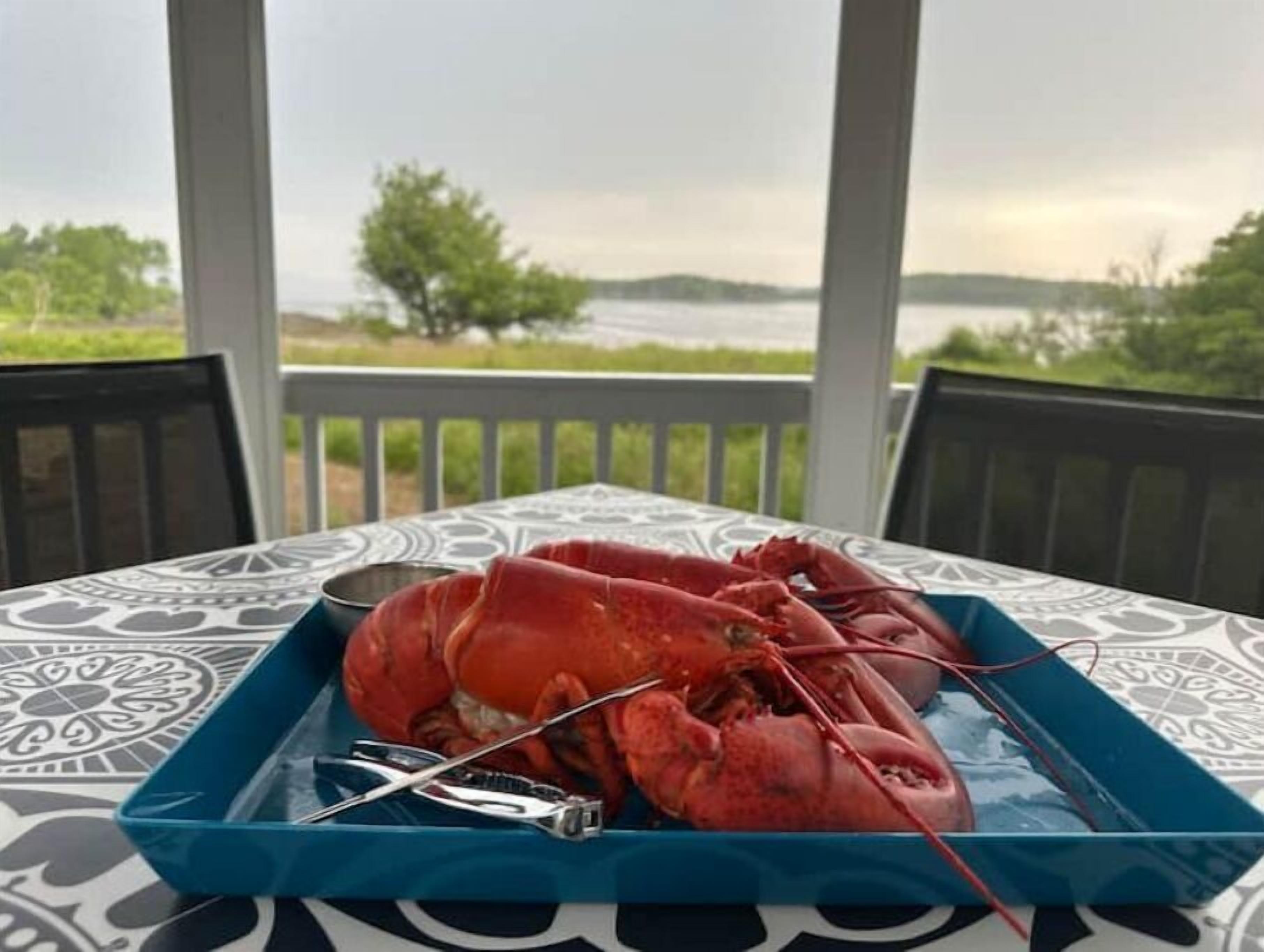 A lobster on a tray on a table with a view of a body of water and greenery in the background.