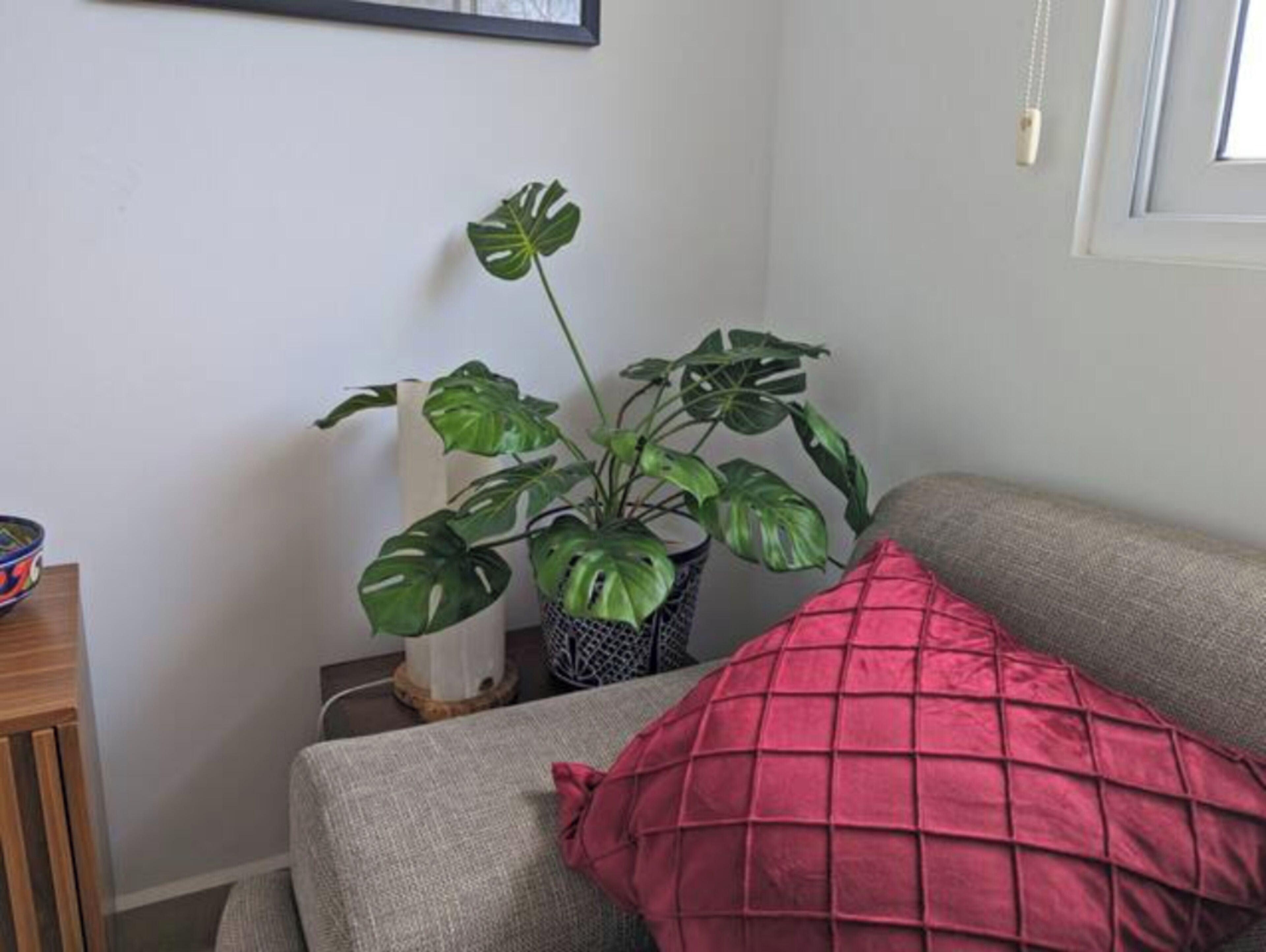 Olohuoneessa on harmaa sohva, punainen koristetyyny, ruukussa oleva monstera-huonekasvi ja pieni puinen pöytä.