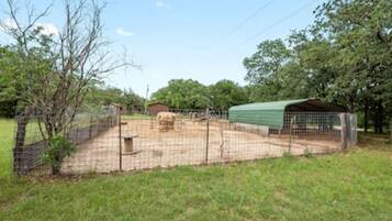 A fenced outdoor area with a green shelter, a feeding station, and a small building.