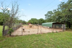 Een omheind buitengebied met een groene overkapping, een voederplaats en een klein gebouw.