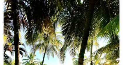 Luxury River front large 3 Bed serene villa Goa