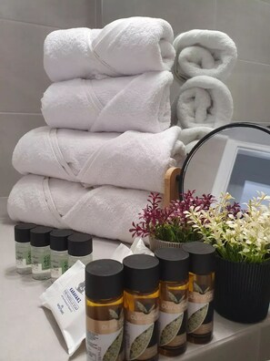 Shower, hair dryer, towels, soap