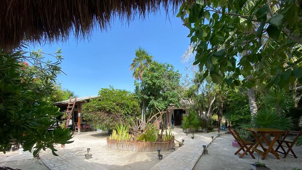 A courtyard with a thatched roof, potted plants, and a stone pathway. - Cabañas Manati (Isla Holbox)