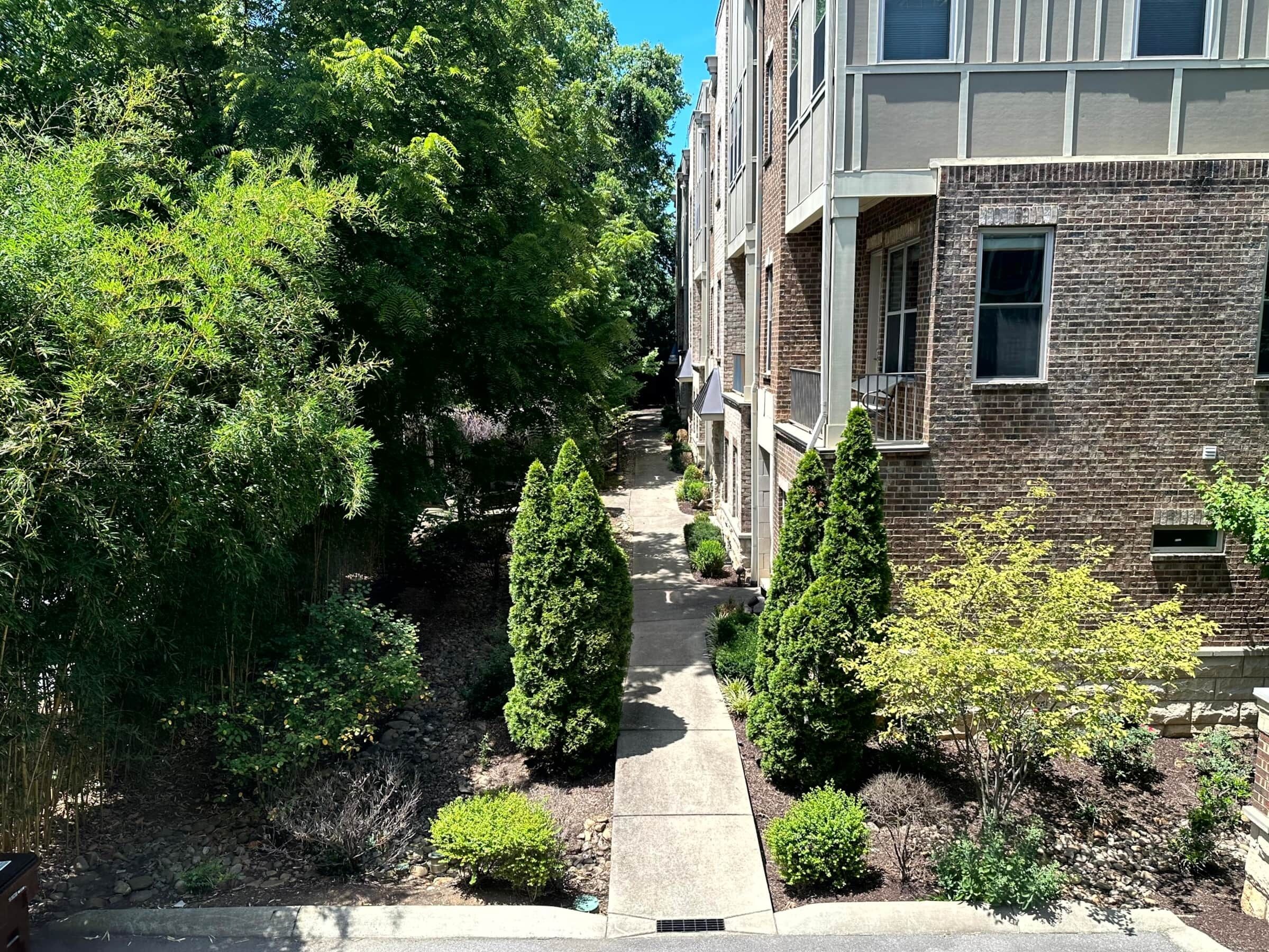 A narrow pathway flanked by dense greenery and a brick building with multiple windows and balconies.