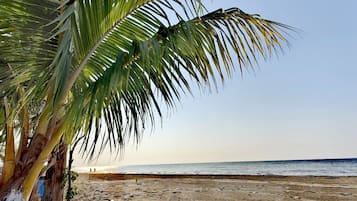 مكان جذب سياحي