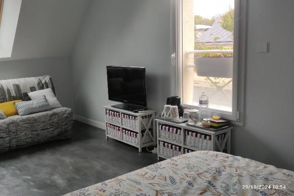 A room with a bed, a sofa, a TV, a desk, and a window.