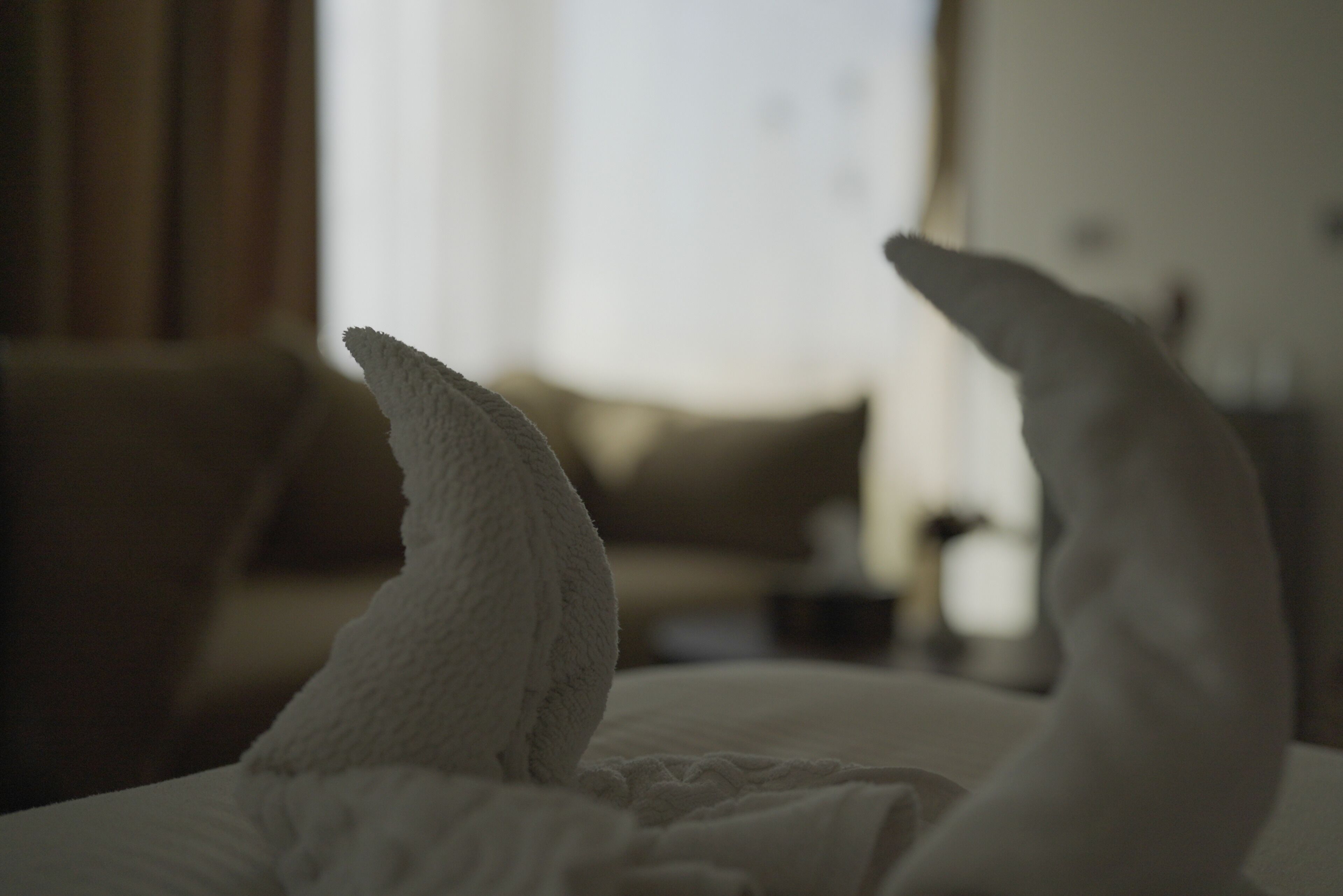 Foto - Queen Isis pyramids view