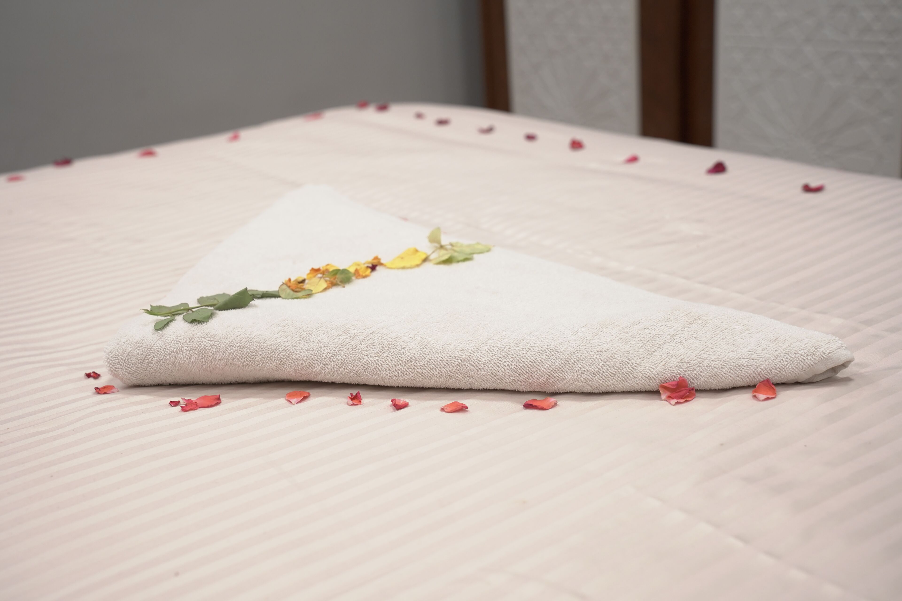 Foto - Queen Isis pyramids view