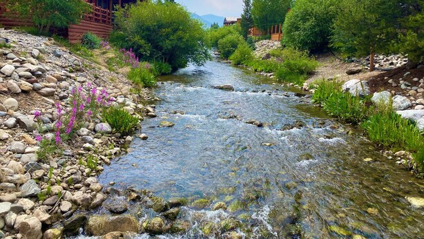 A river flowing through a forested area with wooden cabins.