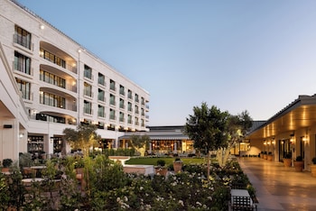 The Global Ambassador