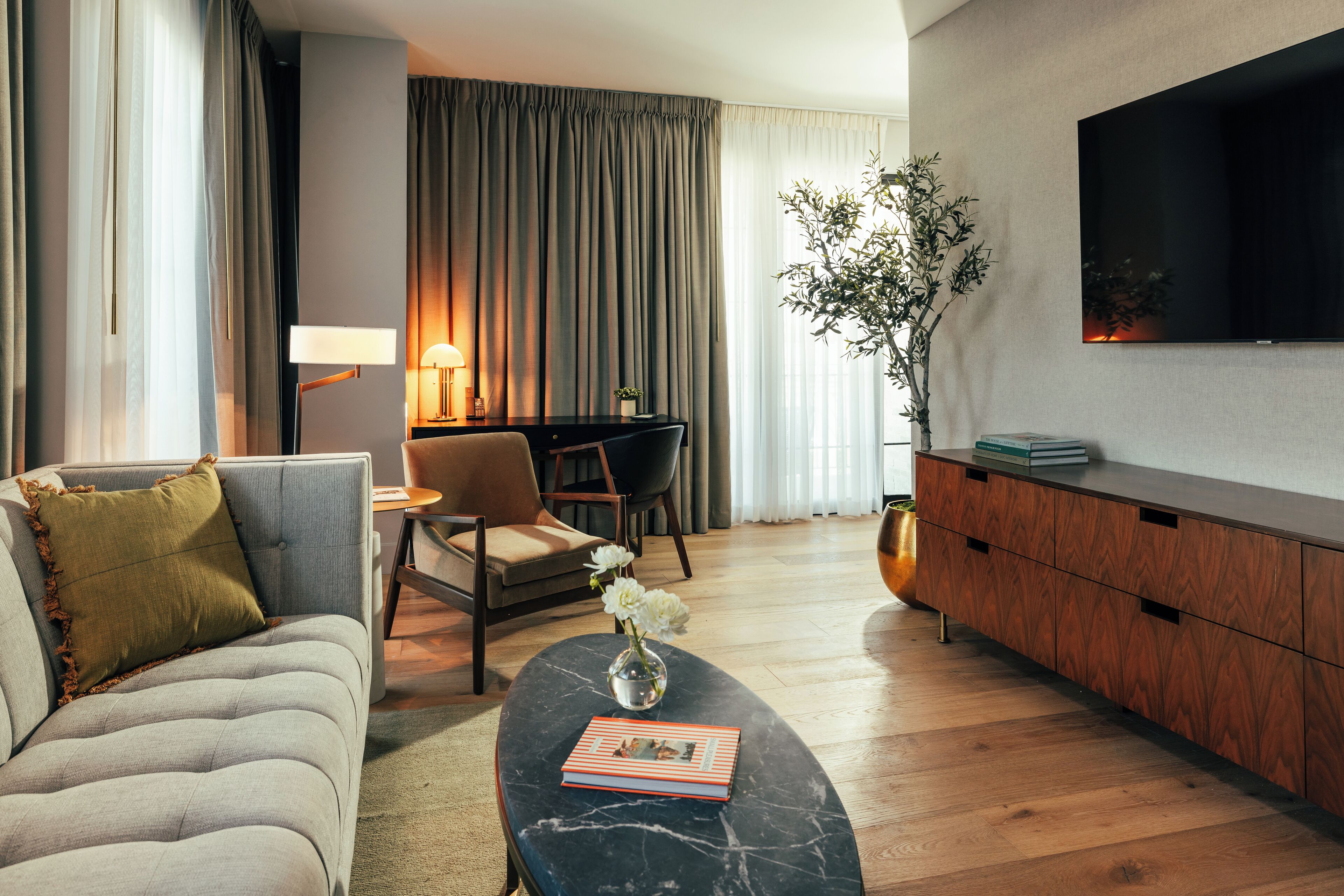 TV LED 65 pollici con canali via cavo, libri, biblioteca musicale