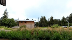 Una pequeña cabaña de madera rodeada de un bosque frondoso.