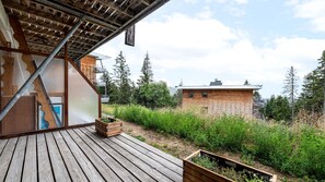 Property grounds - Cosy Apt 4/6 ppl with terrace (Chamrousse)