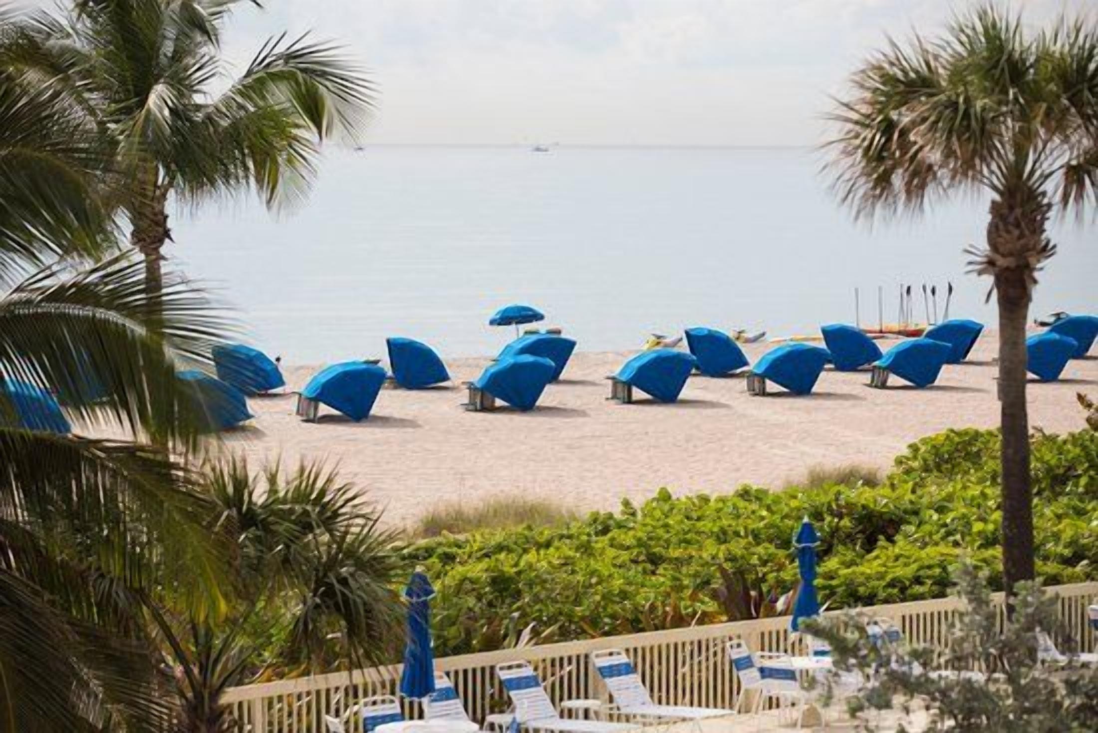 Ein Strand mit Liegestühlen und Sonnenschirmen, Palmen und Blick aufs Meer.