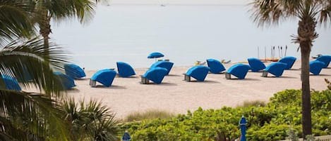 A beach with lounge chairs and umbrellas, palm trees, and a view of the sea.