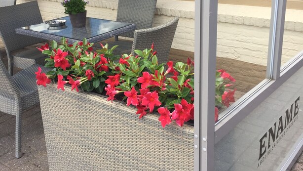 Teras/patio