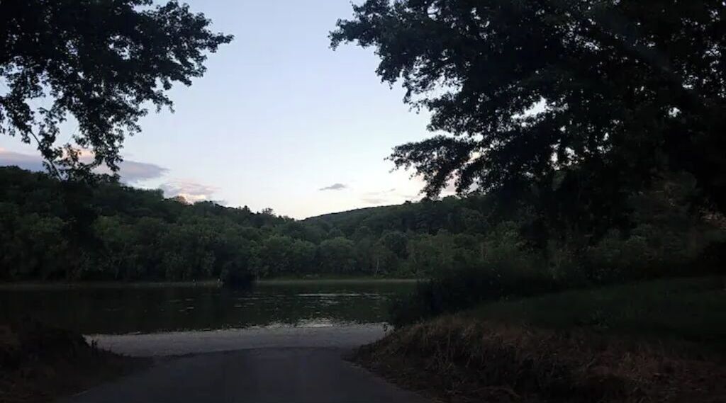 Un paysage paisible au bord d’un lac, avec des arbres denses et une étendue d’eau calme.