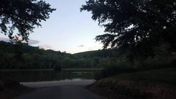 Un paysage paisible au bord d’un lac, avec des arbres denses et une étendue d’eau calme.