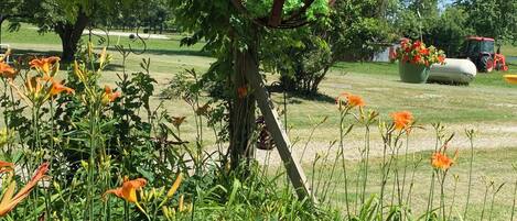 A garden with a rustic metal structure, a small red mailbox, and a metal trough.