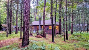 Eine Hütte, umgeben von hohen Bäumen in einem Wald.
