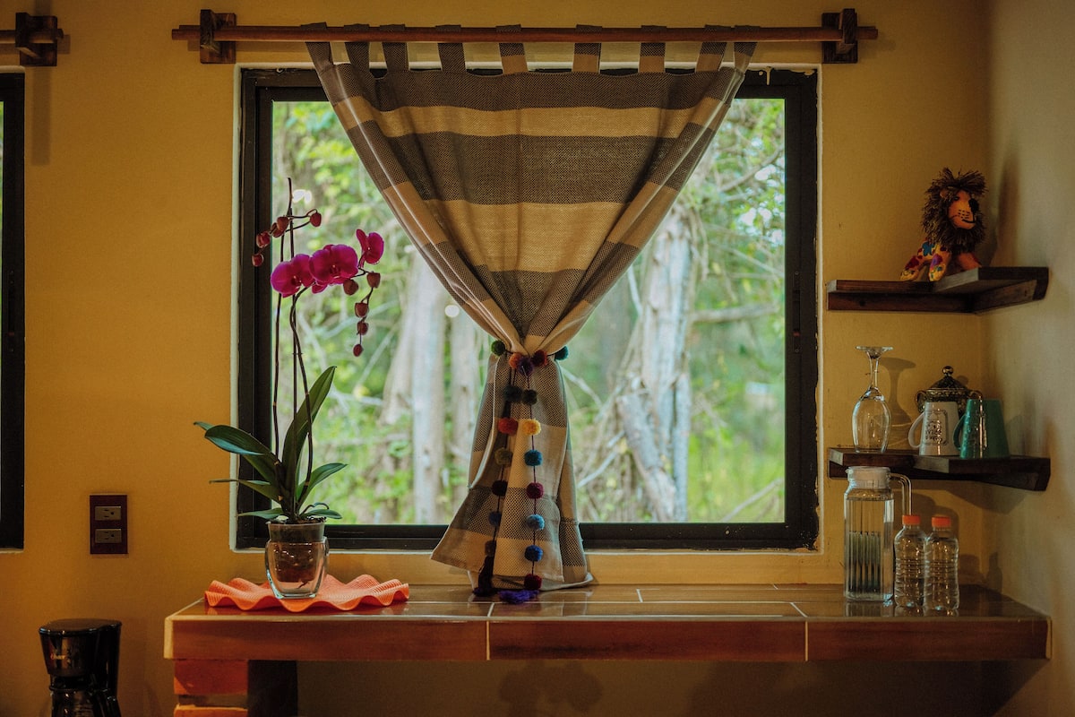 A window with a striped curtain, a potted plant, and a small shelf with bottles and a decorative item.