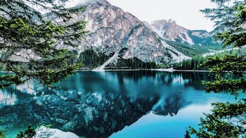 Buffet breakfast on weekends (EUR 10 per person)