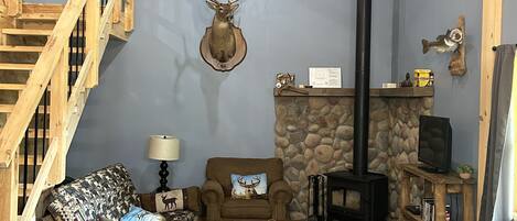 Een televisie, een open haard en een dvd-speler