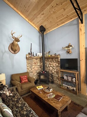 TV, fireplace, DVD player