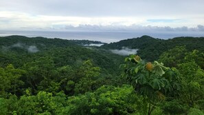 1 bedroom, desk, free WiFi, bed sheets