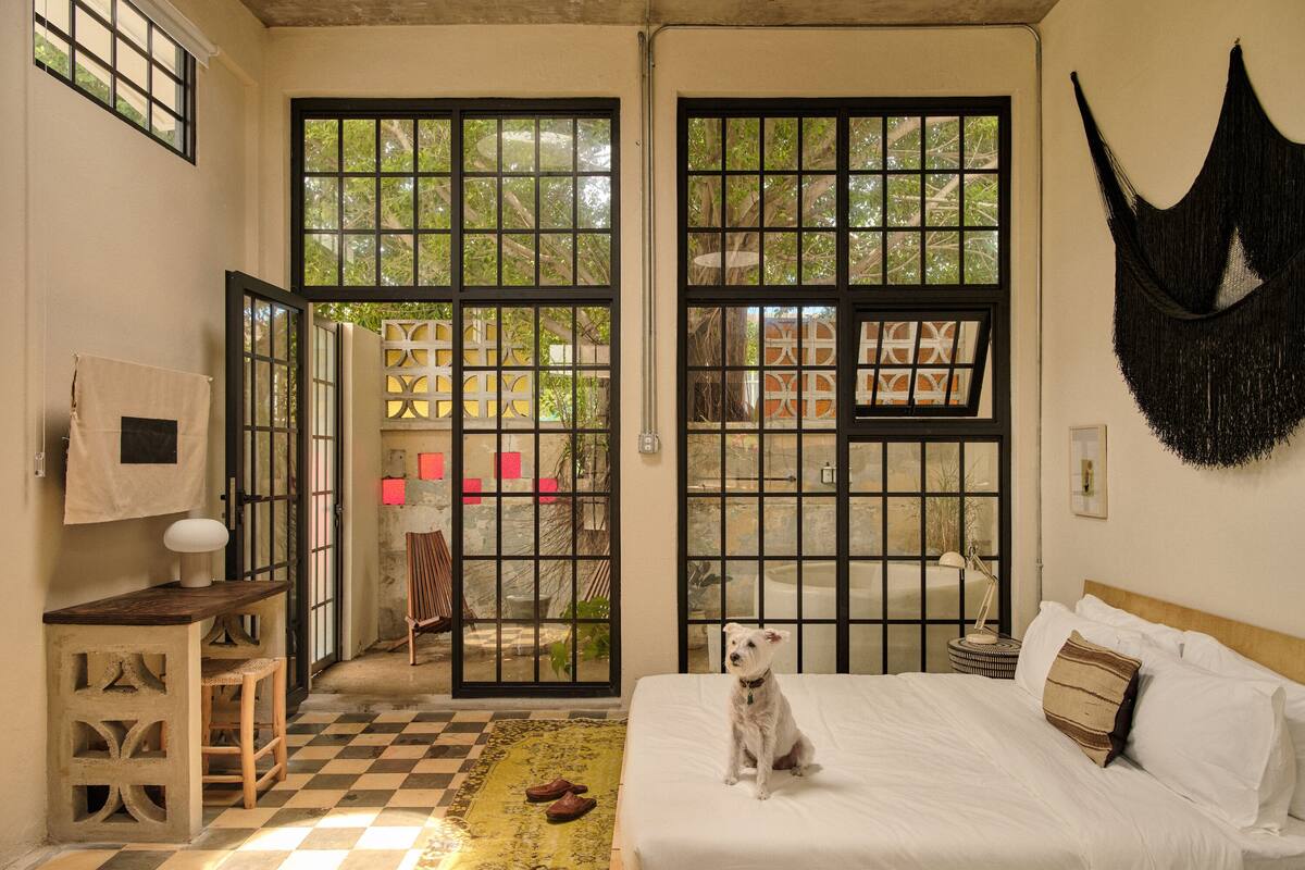 Une pièce avec un lit, un chien, un sol à carreaux et de grandes fenêtres.