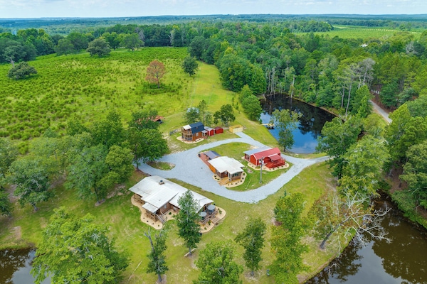 Buena Vista Vacation Rental | 1BR | 2BA | Stairs Required | 600 Sq Ft