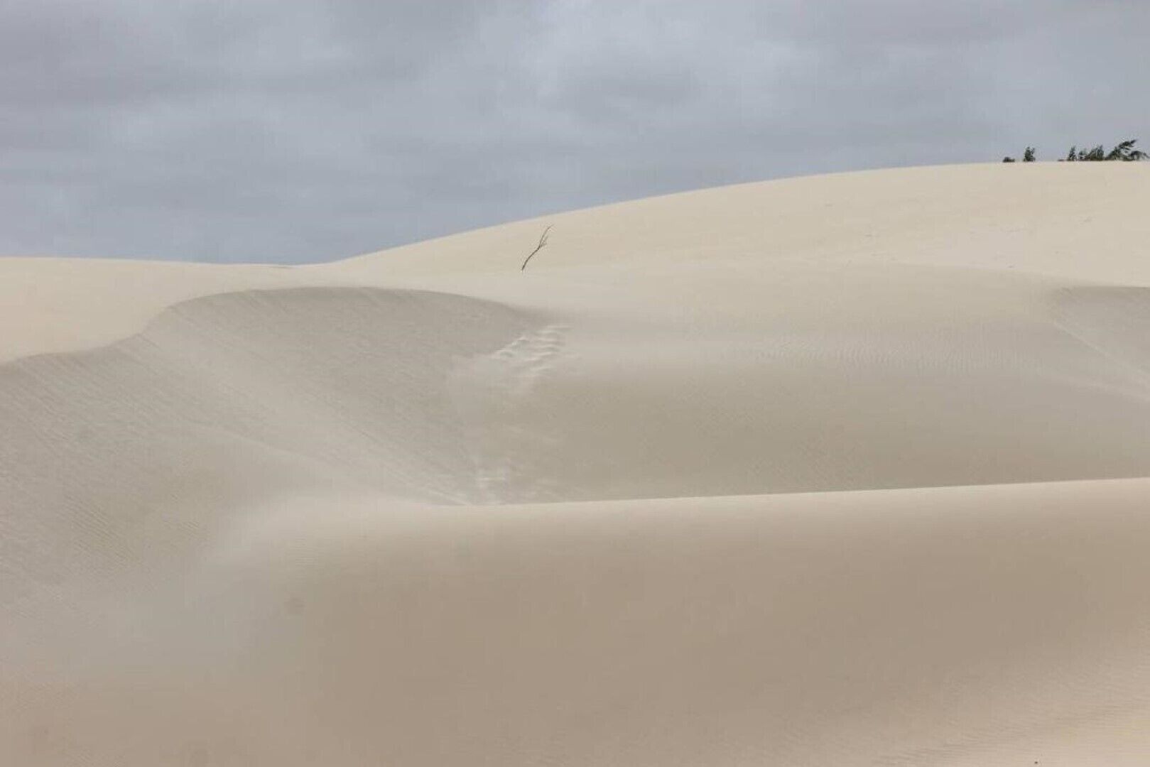 Wüstenlandschaft mit Sanddünen und vereinzelter Vegetation.