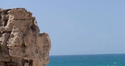 SPECIAL PRICE long term