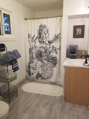 Dusche, Haartrockner, Handtücher, Seife