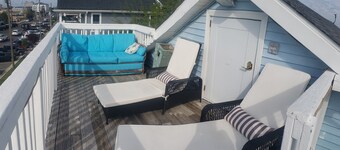 A Sandcrab & Jellyfish Walk Into a Sand-Bar