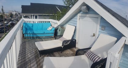 A Sandcrab & Jellyfish Walk Into a Sand-Bar