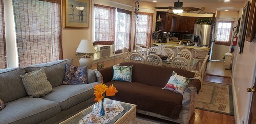 A Sandcrab & Jellyfish Walk Into a Sand-Bar