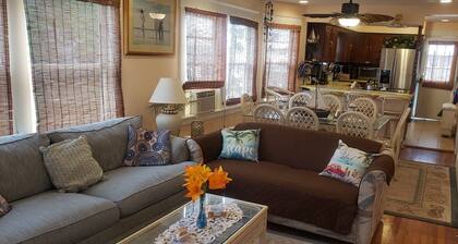 A Sandcrab & Jellyfish Walk Into a Sand-Bar