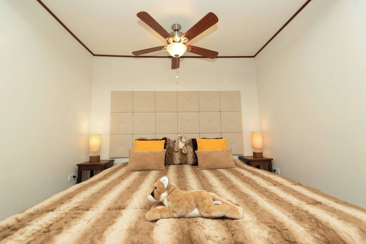 A bedroom with a large bed, a ceiling fan, two bedside lamps, and a teddy bear on the bed.