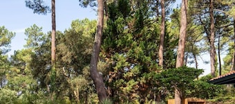 Villa Forest Lodge