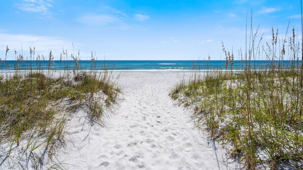 A sandy beach path leading to the ocean with sparse vegetation on either side.