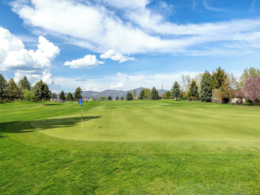 Un terrain de golf avec un ciel dégagé, de l’herbe verte et des arbres.